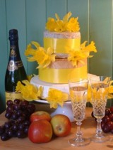 House of Cheese House of Cheese